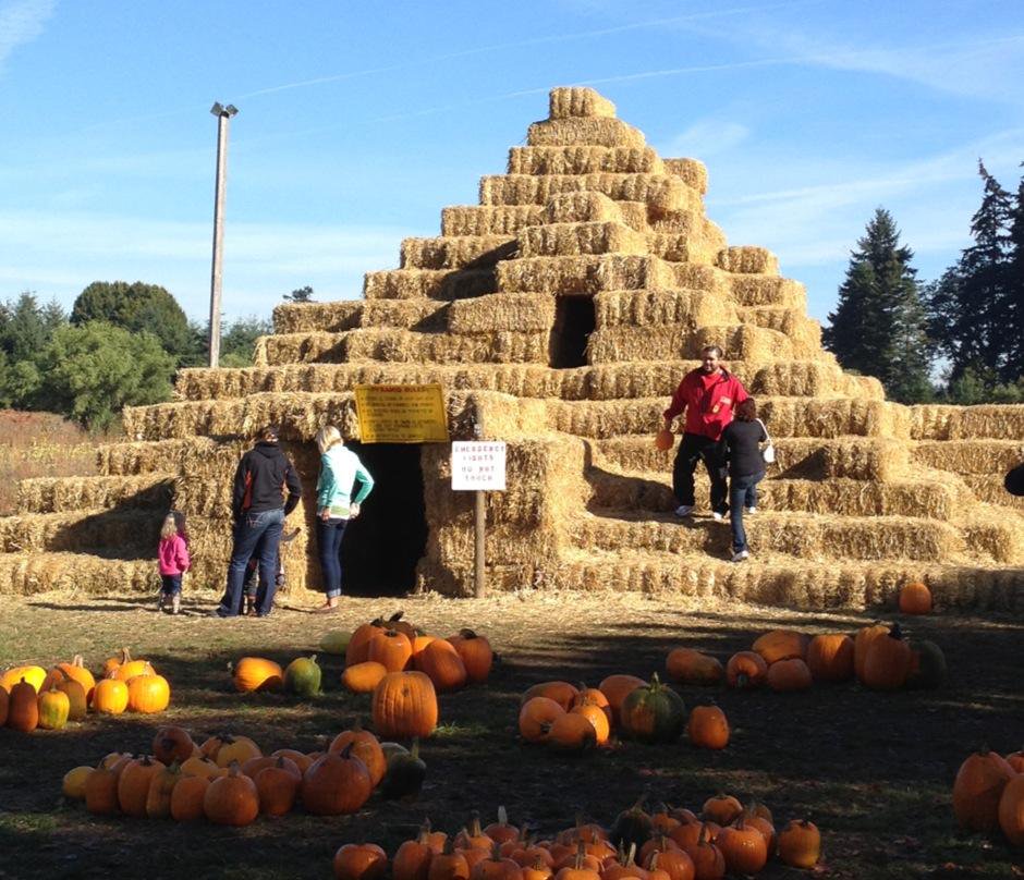 Today's field trip was a…