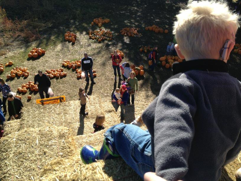 Of course he climbed to…