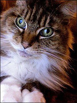 RT @starenova: Zola Love 1993…