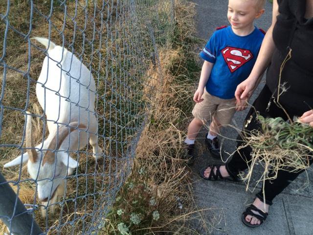 @thebelmontgoats We are happy you…