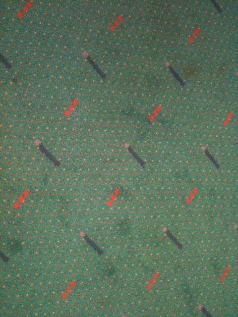 @pdxcarpet BTW, what's up with…