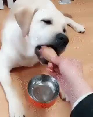 RT @Mr_DrinksOnMe: We don't deserve&hellip;